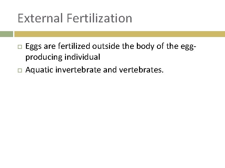 External Fertilization Eggs are fertilized outside the body of the eggproducing individual Aquatic invertebrate
