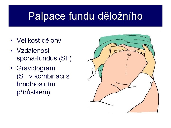 Palpace fundu děložního • Velikost dělohy • Vzdálenost spona-fundus (SF) • Gravidogram (SF v