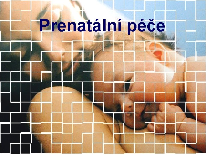 Prenatální péče 