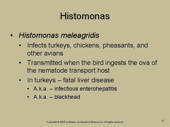 Histomonas • Histomonas meleagridis • Infects turkeys, chickens, pheasants, and other avians • Transmitted Histomonas • Histomonas meleagridis • Infects turkeys, chickens, pheasants, and other avians • Transmitted