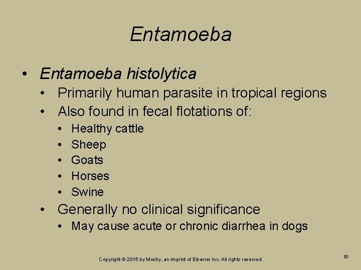 Entamoeba • Entamoeba histolytica • Primarily human parasite in tropical regions • Also found Entamoeba • Entamoeba histolytica • Primarily human parasite in tropical regions • Also found