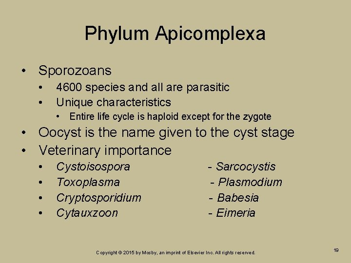 Phylum Apicomplexa • Sporozoans • • 4600 species and all are parasitic Unique characteristics Phylum Apicomplexa • Sporozoans • • 4600 species and all are parasitic Unique characteristics