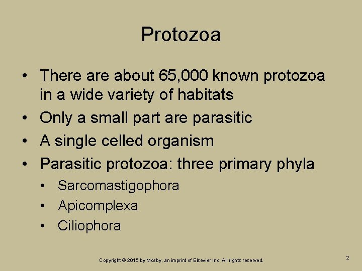 Protozoa • There about 65, 000 known protozoa in a wide variety of habitats Protozoa • There about 65, 000 known protozoa in a wide variety of habitats