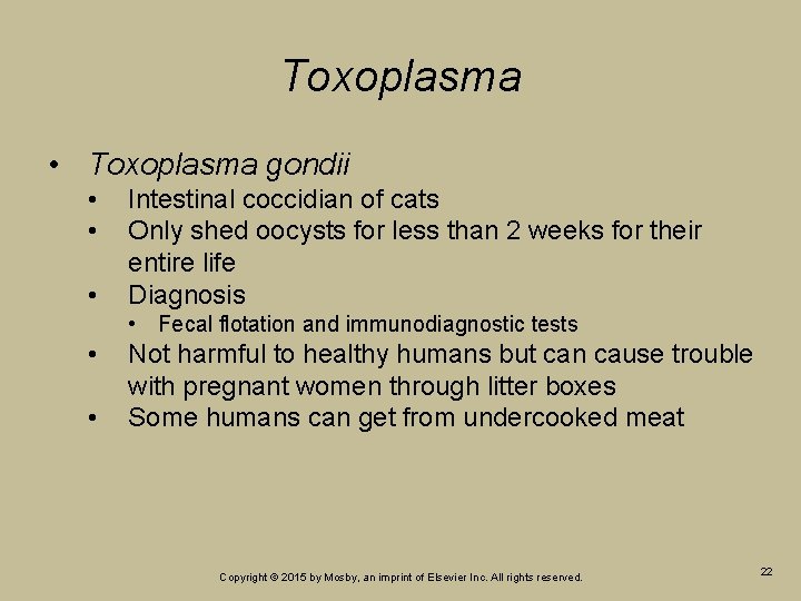 Toxoplasma • Toxoplasma gondii • • • Intestinal coccidian of cats Only shed oocysts Toxoplasma • Toxoplasma gondii • • • Intestinal coccidian of cats Only shed oocysts