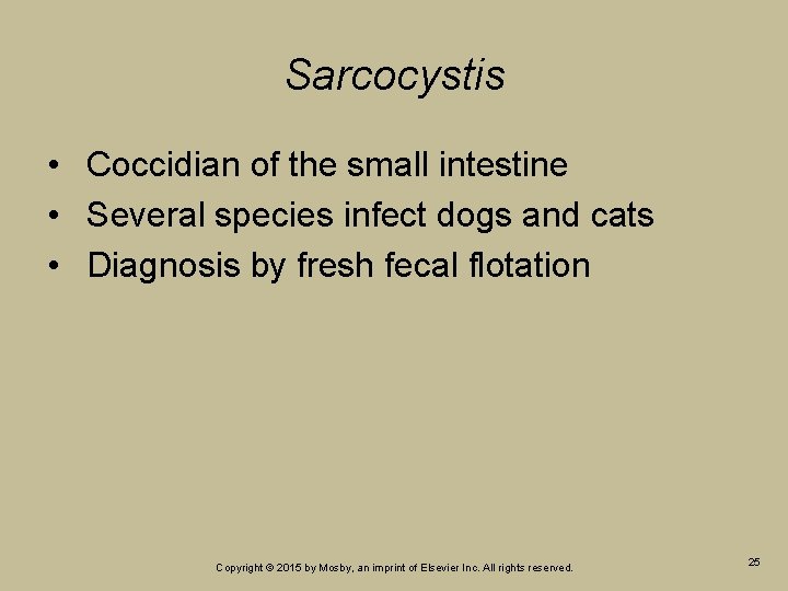 Sarcocystis • Coccidian of the small intestine • Several species infect dogs and cats Sarcocystis • Coccidian of the small intestine • Several species infect dogs and cats
