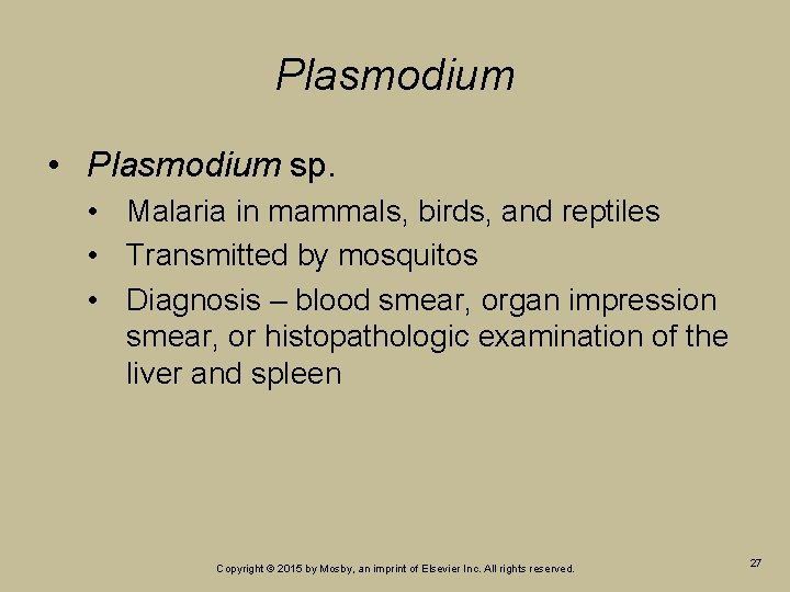 Plasmodium • Plasmodium sp. • Malaria in mammals, birds, and reptiles • Transmitted by Plasmodium • Plasmodium sp. • Malaria in mammals, birds, and reptiles • Transmitted by