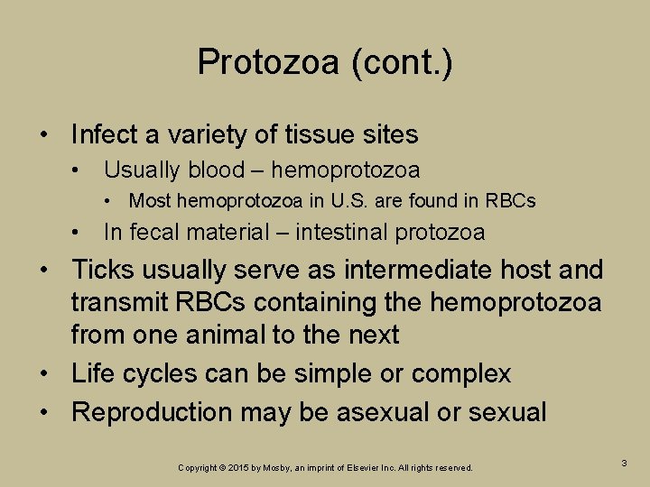 Protozoa (cont. ) • Infect a variety of tissue sites • Usually blood – Protozoa (cont. ) • Infect a variety of tissue sites • Usually blood –