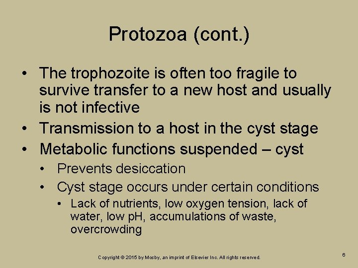 Protozoa (cont. ) • The trophozoite is often too fragile to survive transfer to Protozoa (cont. ) • The trophozoite is often too fragile to survive transfer to