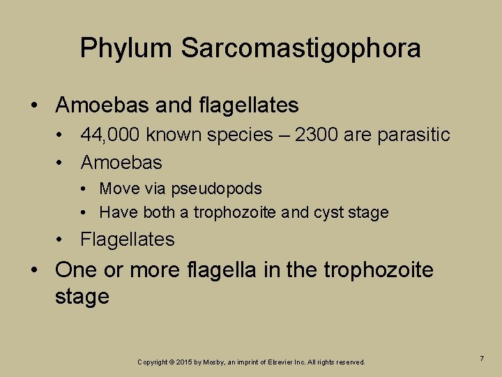 Phylum Sarcomastigophora • Amoebas and flagellates • 44, 000 known species – 2300 are Phylum Sarcomastigophora • Amoebas and flagellates • 44, 000 known species – 2300 are