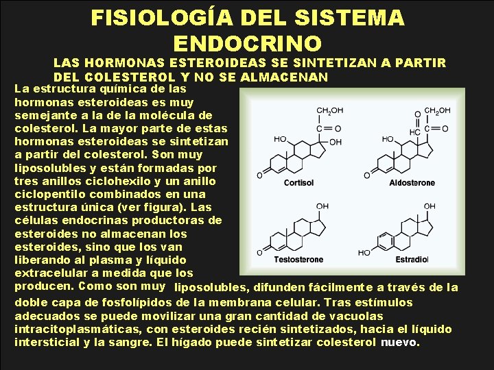 FISIOLOGÍA DEL SISTEMA ENDOCRINO LAS HORMONAS ESTEROIDEAS SE SINTETIZAN A PARTIR DEL COLESTEROL Y