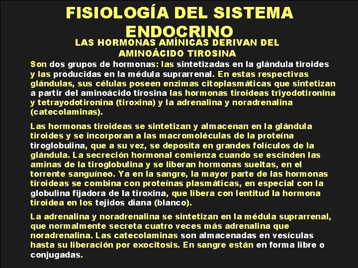 FISIOLOGÍA DEL SISTEMA ENDOCRINO LAS HORMONAS AMÍNICAS DERIVAN DEL AMINOÁCIDO TIROSINA Son dos grupos