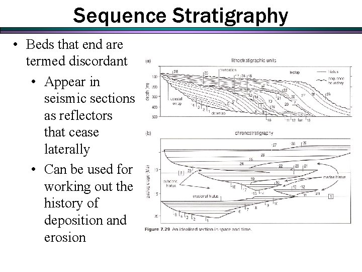 Sequence Stratigraphy • Beds that end are termed discordant • Appear in seismic sections Sequence Stratigraphy • Beds that end are termed discordant • Appear in seismic sections