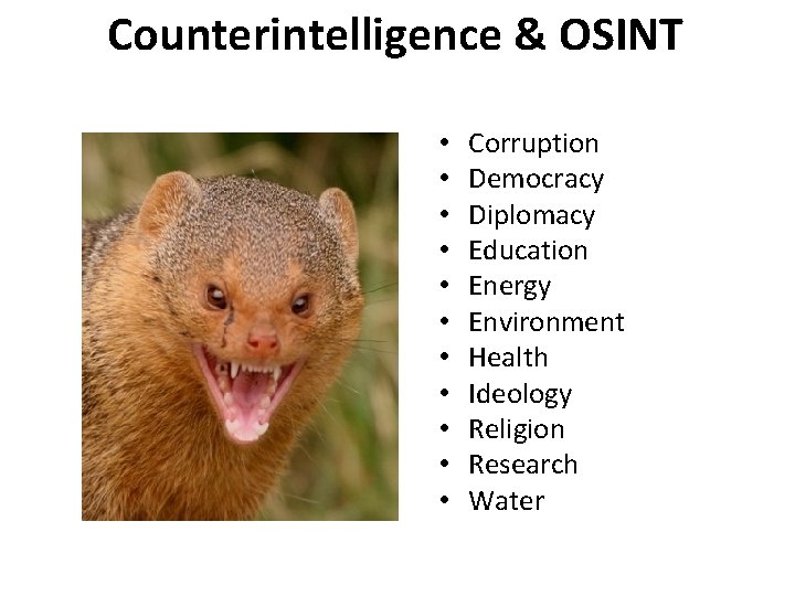 Counterintelligence & OSINT • • • Corruption Democracy Diplomacy Education Energy Environment Health Ideology