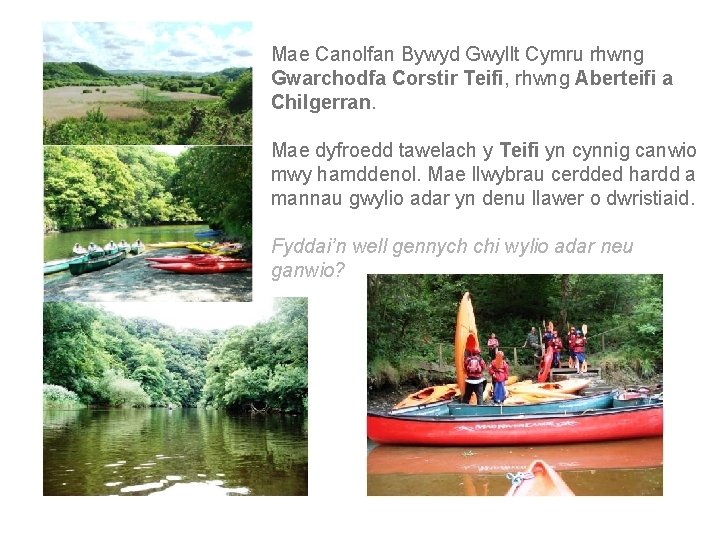 Mae Canolfan Bywyd Gwyllt Cymru rhwng Gwarchodfa Corstir Teifi, rhwng Aberteifi a Chilgerran. Mae