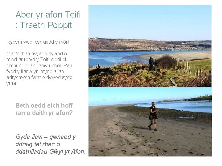 Aber yr afon Teifi : Traeth Poppit Rydym wedi cyrraedd y môr! Mae’r rhan