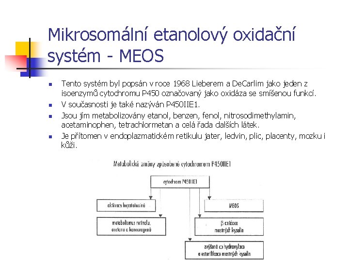 Mikrosomální etanolový oxidační systém - MEOS n n Tento systém byl popsán v roce