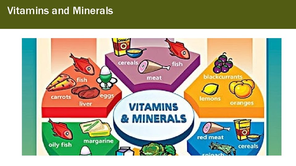 Vitamins and Minerals 