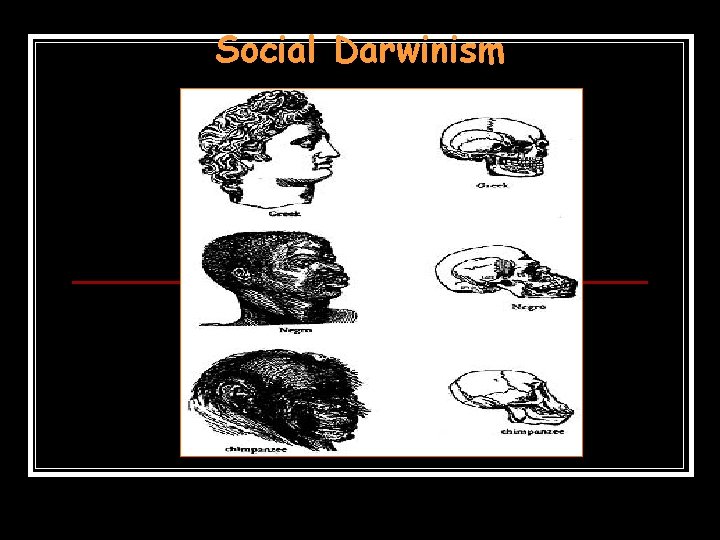 Social Darwinism Social Darwinism