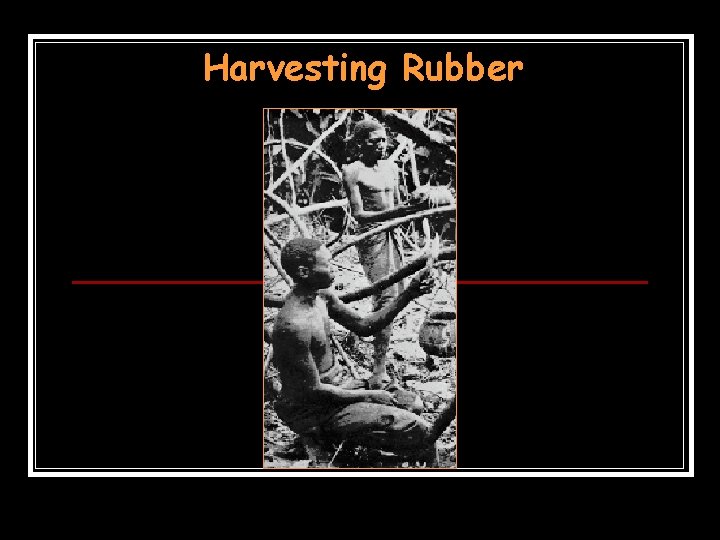 Harvesting Rubber Harvesting Rubber