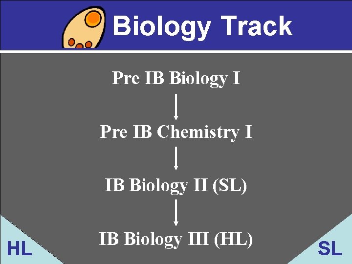 Biology Track Pre IB Biology I Pre IB Chemistry I IB Biology II (SL)