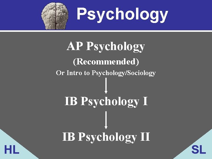 Psychology AP Psychology (Recommended) Or Intro to Psychology/Sociology IB Psychology I HL IB Psychology