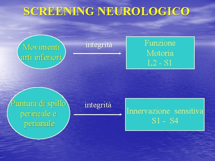 SCREENING NEUROLOGICO Movimenti arti inferiori Puntura di spillo perineale e perianale integrità Funzione Motoria