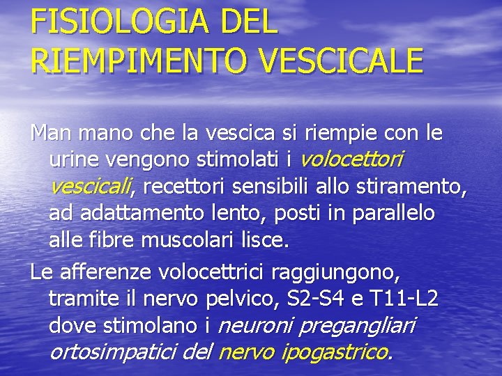 FISIOLOGIA DEL RIEMPIMENTO VESCICALE Man mano che la vescica si riempie con le urine