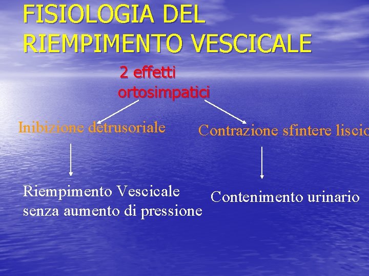 FISIOLOGIA DEL RIEMPIMENTO VESCICALE 2 effetti ortosimpatici Inibizione detrusoriale Contrazione sfintere liscio Riempimento Vescicale