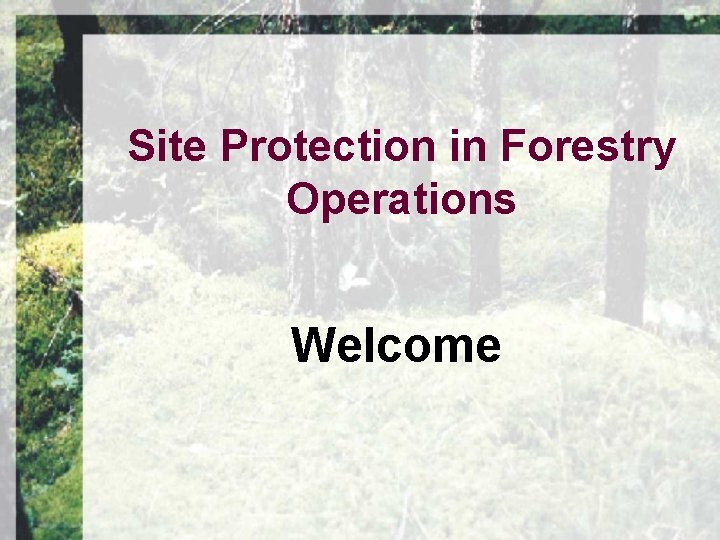 Site Protection in Forestry Operations Welcome 