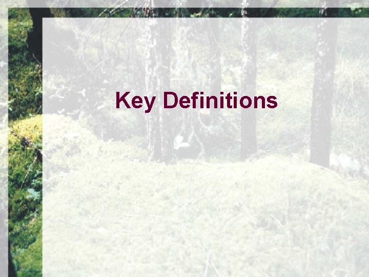 Key Definitions 