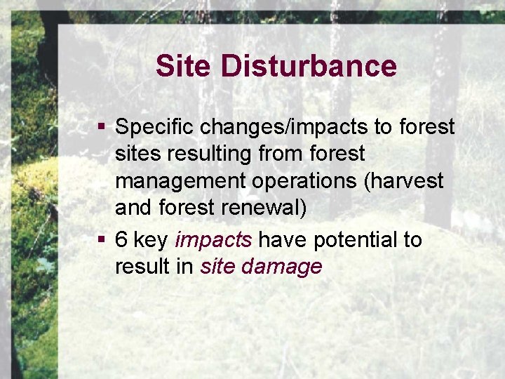 Site Disturbance § Specific changes/impacts to forest sites resulting from forest management operations (harvest