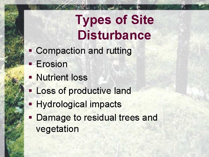 Types of Site Disturbance § § § Compaction and rutting Erosion Nutrient loss Loss