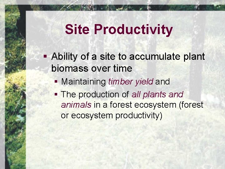 Site Productivity § Ability of a site to accumulate plant biomass over time §