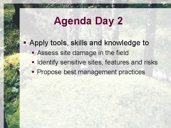 Agenda Day 2 § Apply tools, skills and knowledge to § Assess site damage