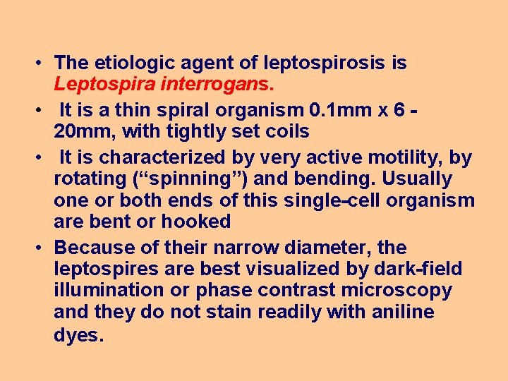  • The etiologic agent of leptospirosis is Leptospira interrogans. • It is a