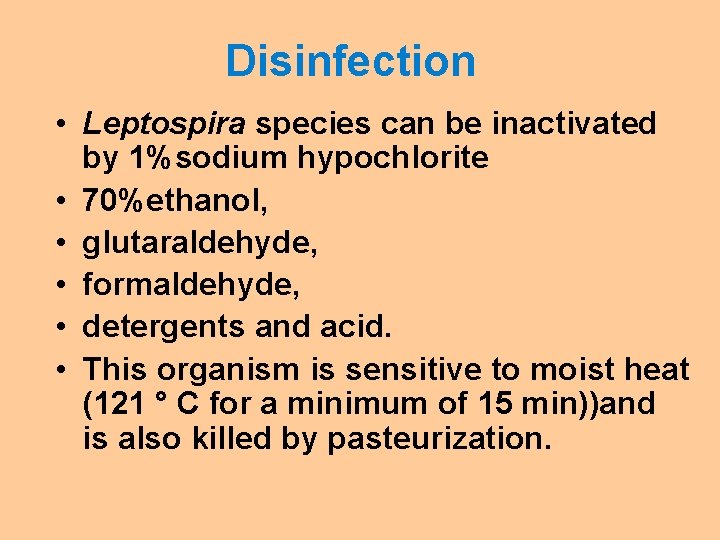 Disinfection • Leptospira species can be inactivated by 1%sodium hypochlorite • 70%ethanol, • glutaraldehyde,