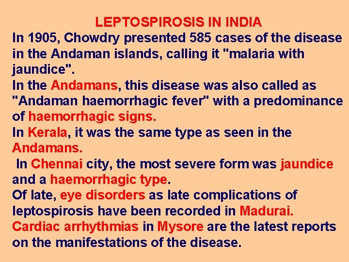 LEPTOSPIROSIS IN INDIA In 1905, Chowdry presented 585 cases of the disease in the