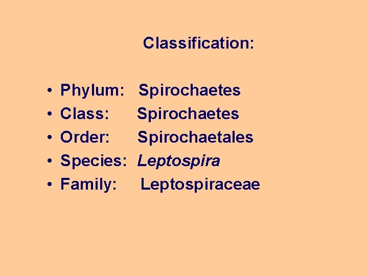 Classification: • • • Phylum: Spirochaetes Class: Spirochaetes Order: Spirochaetales Species: Leptospira Family: Leptospiraceae