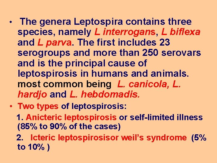  • The genera Leptospira contains three species, namely L interrogans, L biflexa and