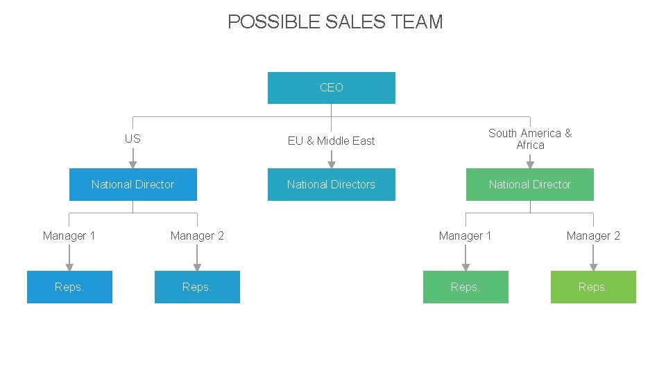 POSSIBLE SALES TEAM CEO US EU & Middle East South America & Africa National