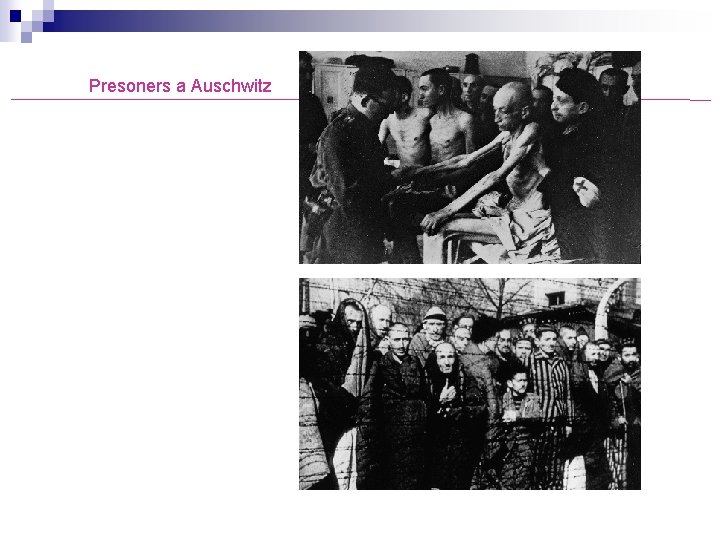 Presoners a Auschwitz 