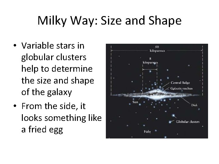 Milky Way: Size and Shape • Variable stars in globular clusters help to determine