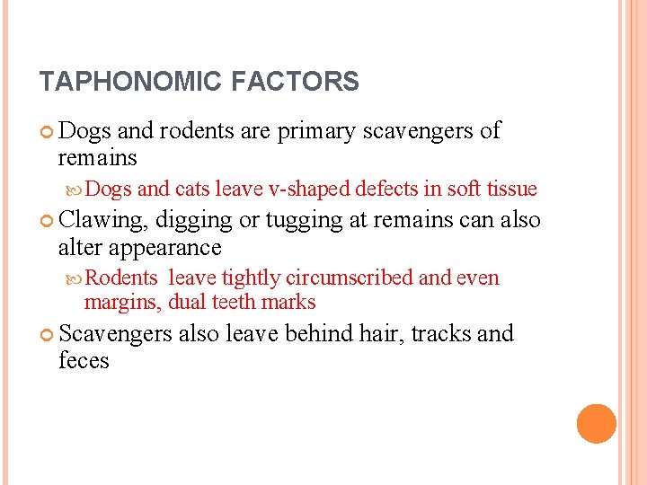 TAPHONOMIC FACTORS Dogs and rodents are primary scavengers of remains Dogs and cats leave