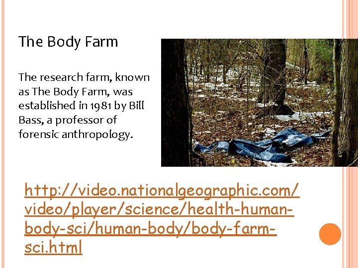 The Body Farm The research farm, known as The Body Farm, was established in