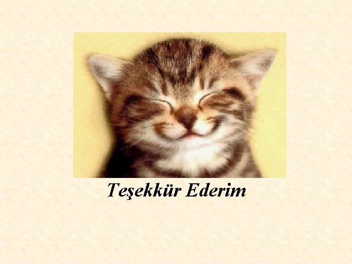 Teşekkür Ederim 