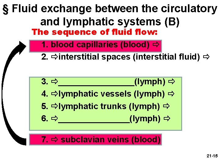 § Fluid exchange between the circulatory and lymphatic systems (B) The sequence of fluid