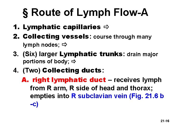 § Route of Lymph Flow-A 1. Lymphatic capillaries 2. Collecting vessels: course through many