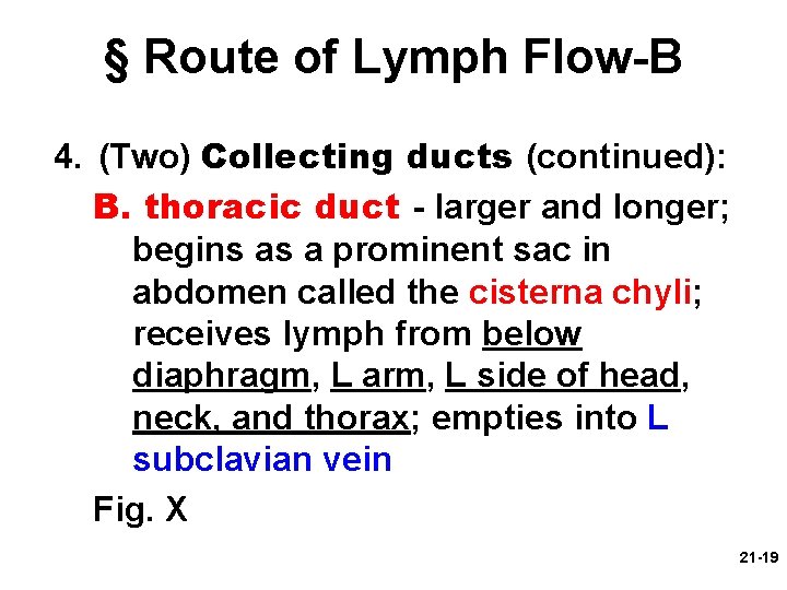 § Route of Lymph Flow-B 4. (Two) Collecting ducts (continued): B. thoracic duct -