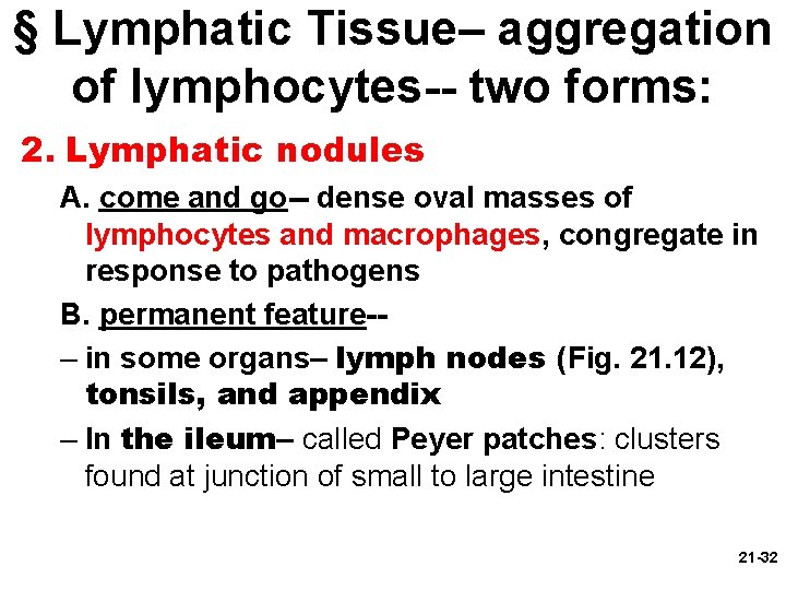 § Lymphatic Tissue– aggregation of lymphocytes-- two forms: 2. Lymphatic nodules A. come and