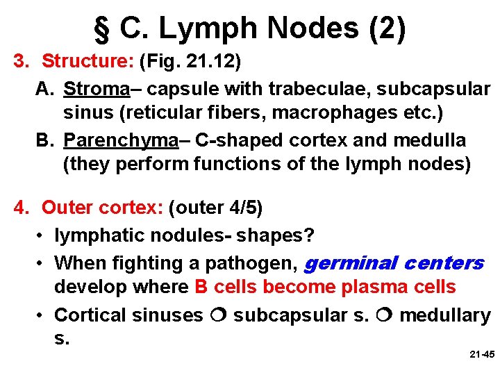 § C. Lymph Nodes (2) 3. Structure: (Fig. 21. 12) A. Stroma– capsule with